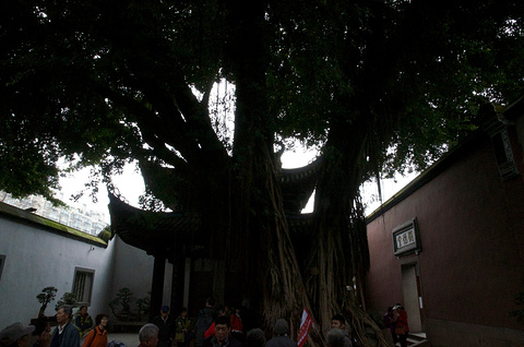 林则徐纪念馆旅游景点攻略图