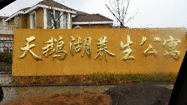 大天鹅国家级自然保护区