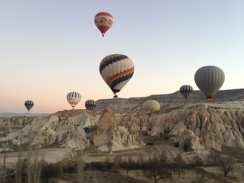 Royal Balloon旅游景点图片