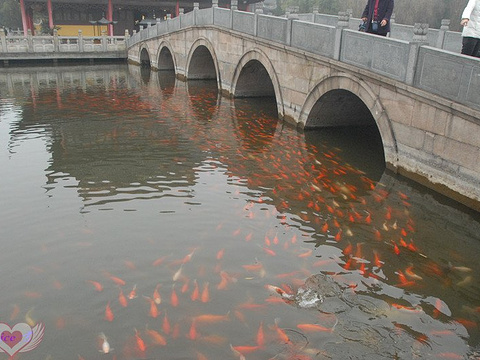 全福长桥旅游景点图片