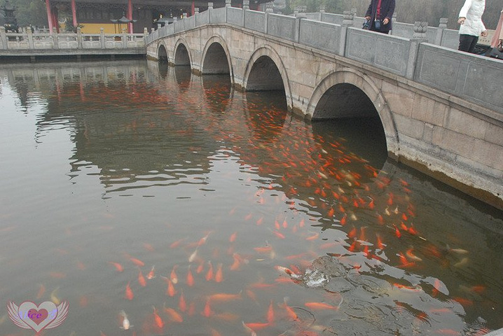 "全福讲寺是完全在水上的一座寺庙，有水上佛国之称。这里的游客不多_全福长桥"的评论图片