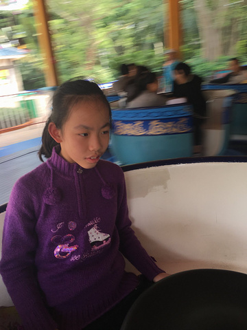 2017超级大摆锤是世界最新最眩的大型机动游乐设备，由德国HUSS公司原厂进口, 号称“全球最大摆锤”_长隆欢乐世界评论 - 去哪儿攻略社区