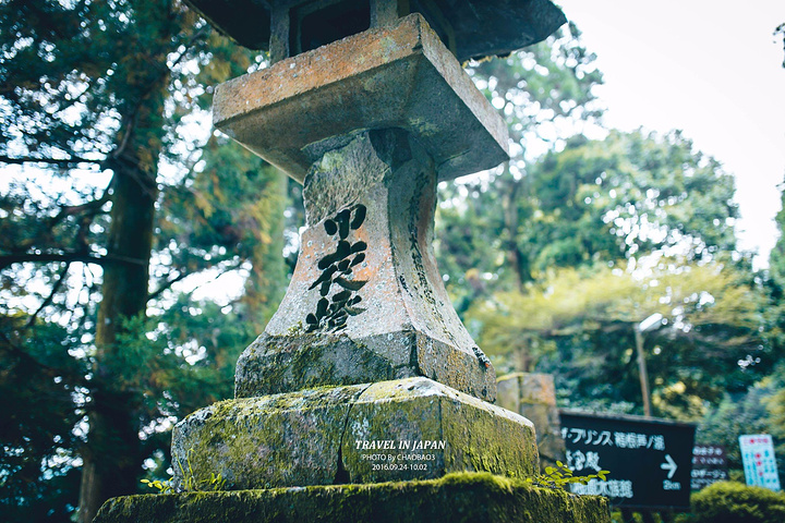 "但是这个鸟居的神圣地位还是不可动摇的。芦之湖湖边的这座红色的大鸟居是一个经典的，拍照的机位_箱根神社"的评论图片