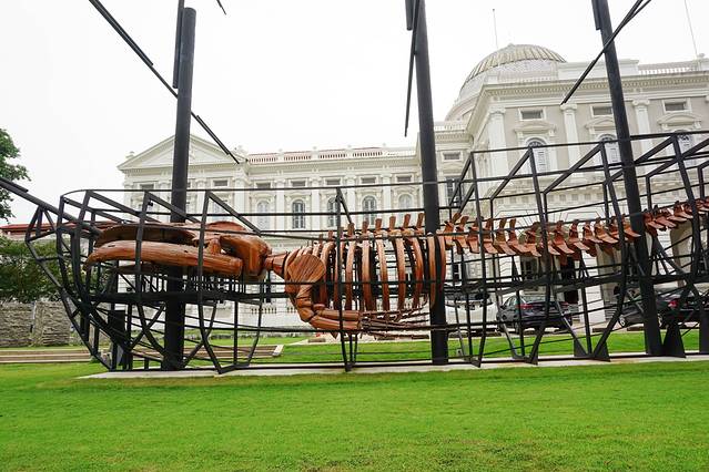 感受不一样的新加坡