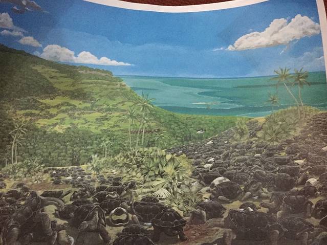 拉凡尼勒鳄鱼公园