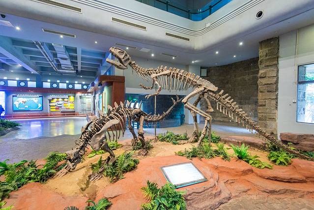 自贡恐龙博物馆