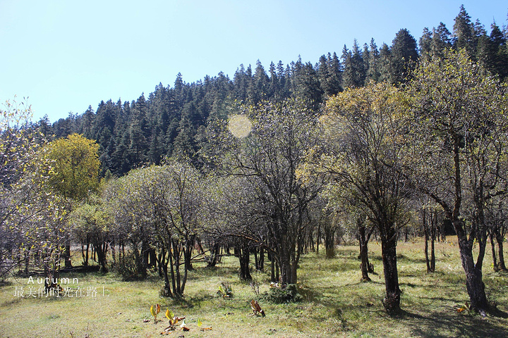 2017普达措国家公园, 没错,就是张杰和谢娜结婚