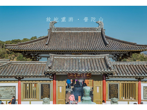 不肯去观音院