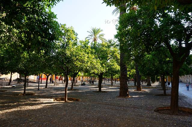 科尔多瓦:繁华落尽的盛世之梦-记伊比利亚半岛