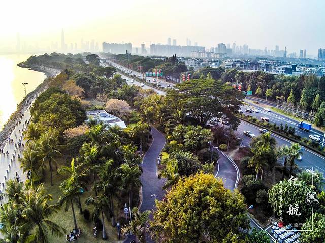 红树林海滨生态公园