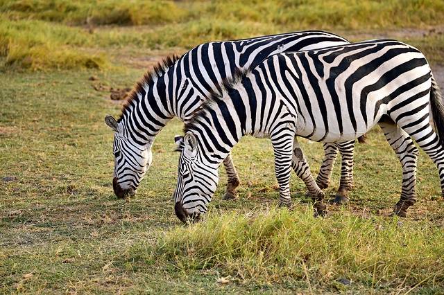 安博塞利国家公园