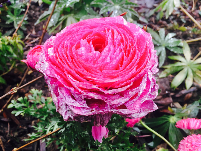 去迪士尼放飞自我_上海旅游攻略_自助游攻略