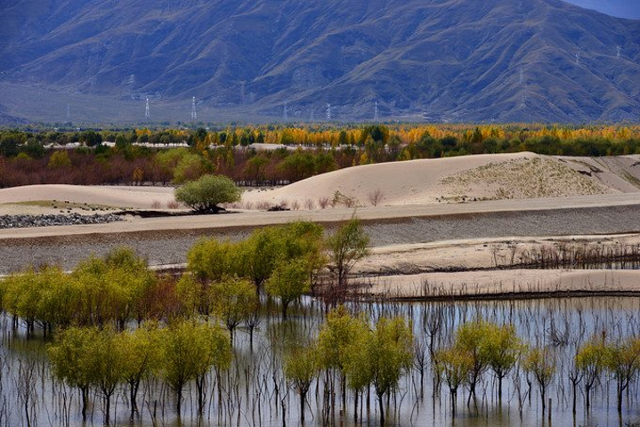 殿阁林立、规模宏大,寺庙布局纷繁复杂,若是想