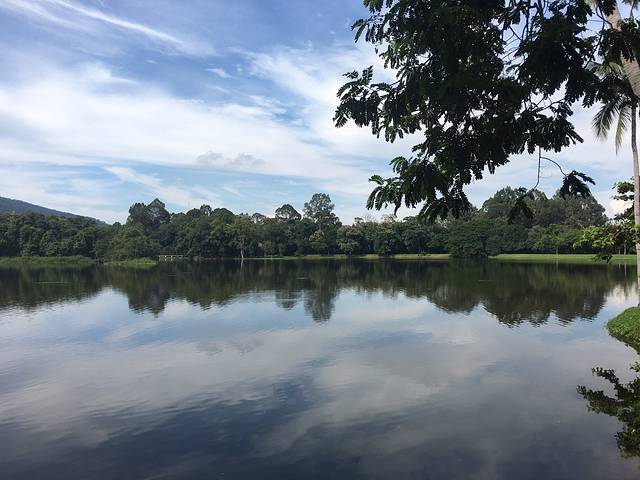 清迈大学静心湖