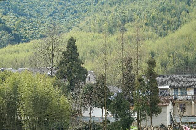 莫干山风景名胜区