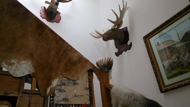 敖鲁古雅民族乡