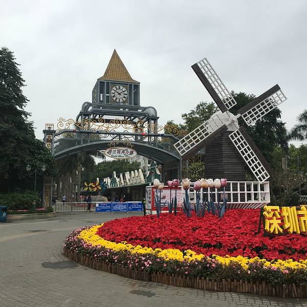 2019荷兰花卉小镇门票,深圳荷兰花卉小镇游玩