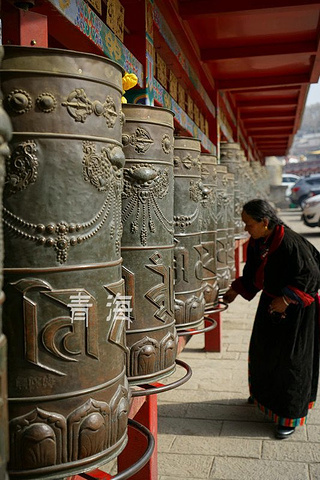 塔尔寺"的评论图片