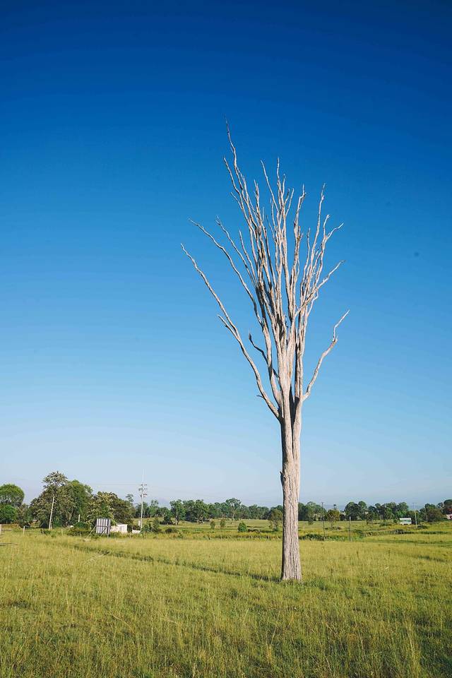 黄金海岸热气球体验