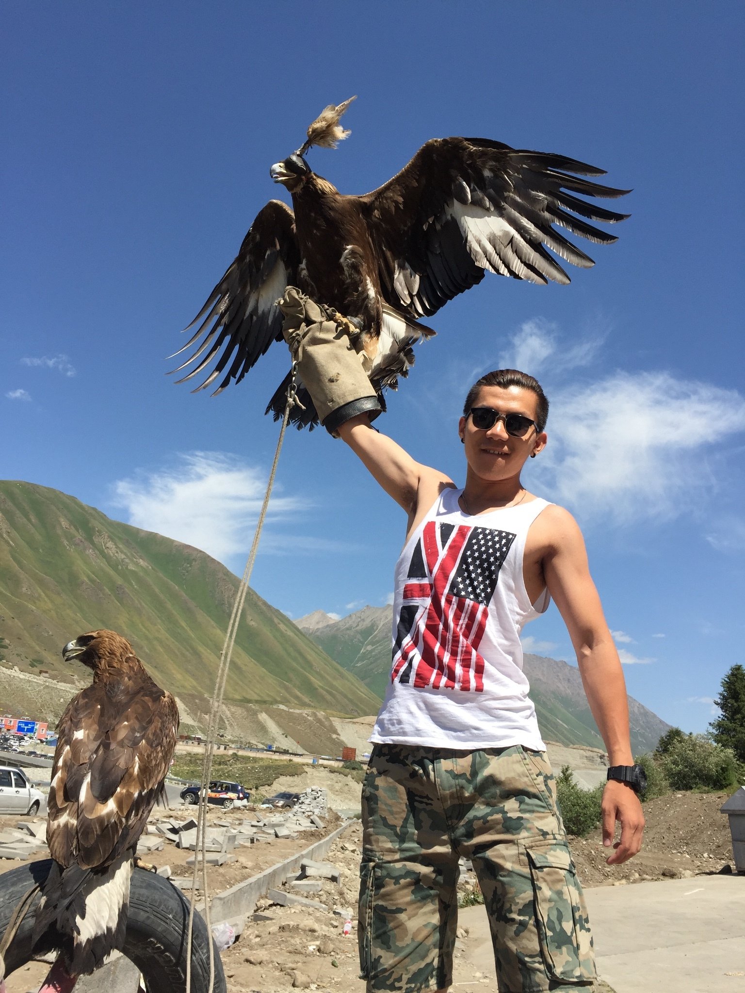 新疆,青海,成都