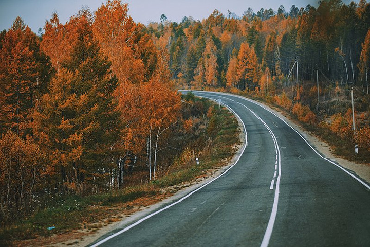 篱笆,女人和狗,经典乡村风景大三元。随便乱按