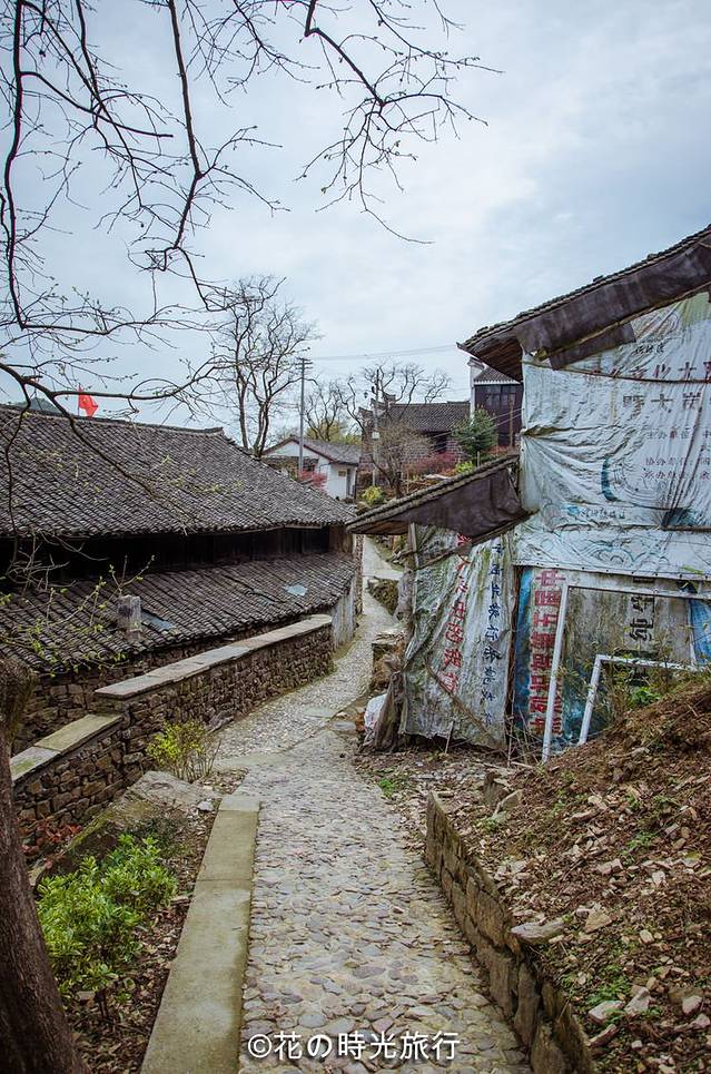 江山樱红,青茶碧水,闻香识『余姚』(超多美图)