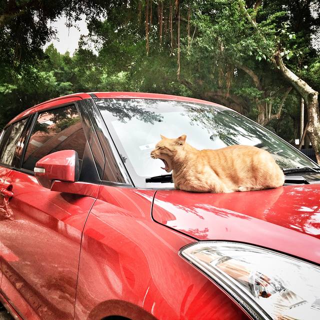 105台湾台北市松山区富锦街