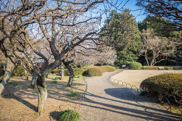 新宿御苑
