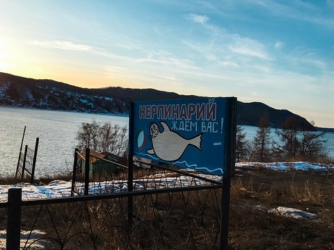 2017贝加尔湖海豹馆_旅游攻略_门票_地址_游