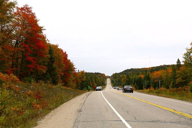 阿尔冈金省立公园