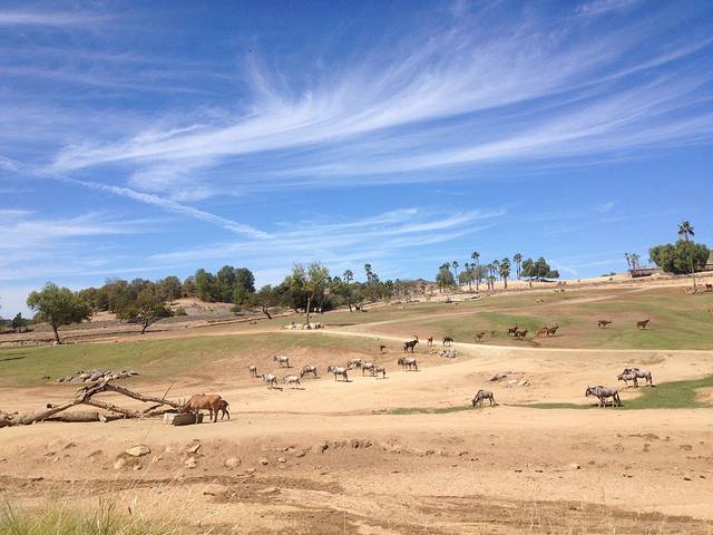 圣地亚哥野生动物园