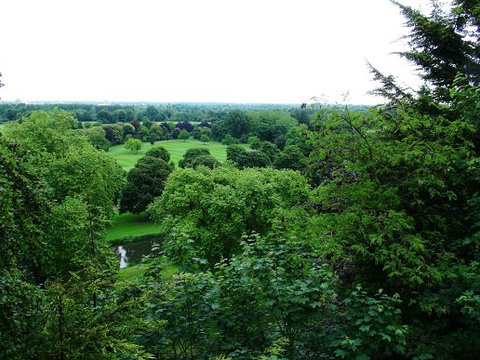 温莎大公园windsor great park