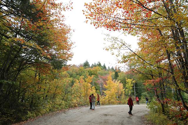 阿尔冈金省立公园