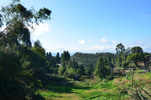 鼓岭国家级旅游度假区