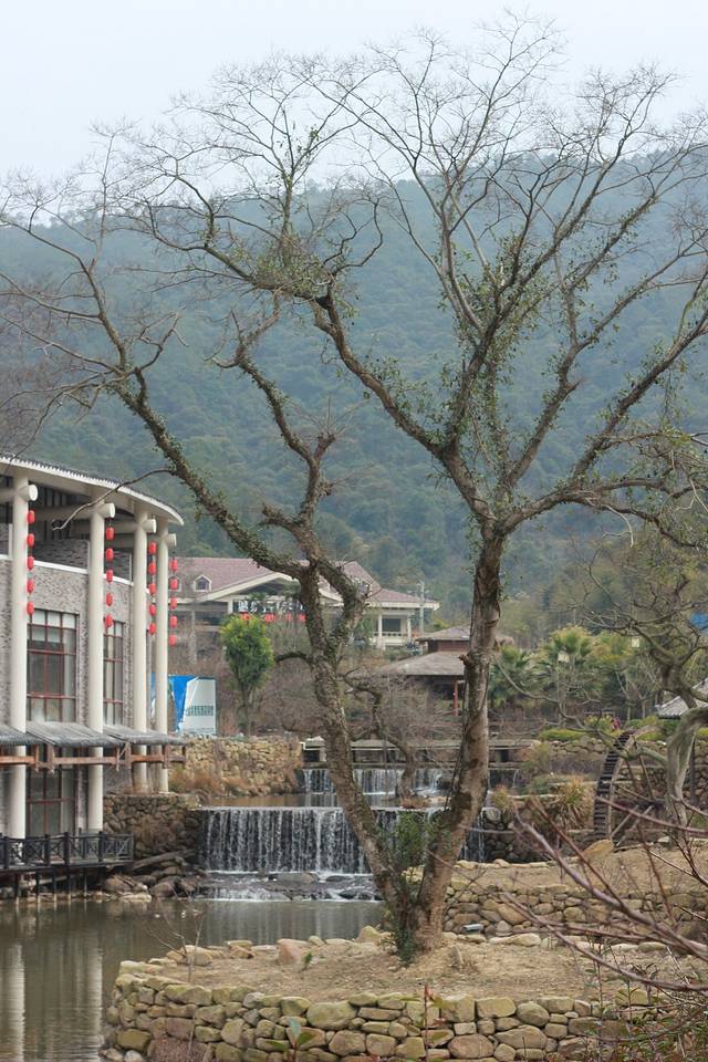 瀑布林温泉度假村