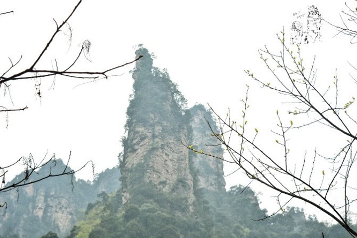 "天子山景区天子山是张家界最早开发出来的景点之一，天子山有着天下峰林“扩大的盆景，缩小的仙境”之称_张家界国家森林公园"的评论图片