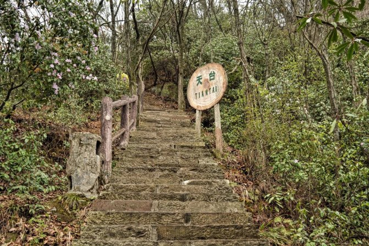 "天子山景区天子山是张家界最早开发出来的景点之一，天子山有着天下峰林“扩大的盆景，缩小的仙境”之称_张家界国家森林公园"的评论图片