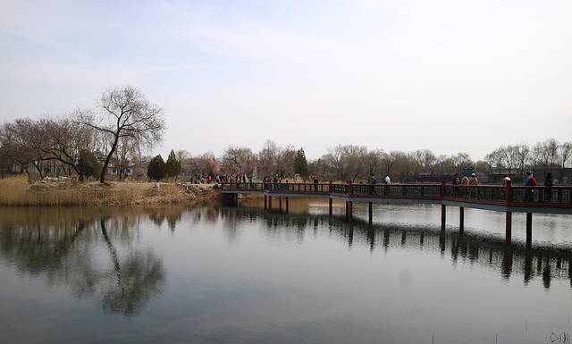 圆明园遗址公园-绮春园景区