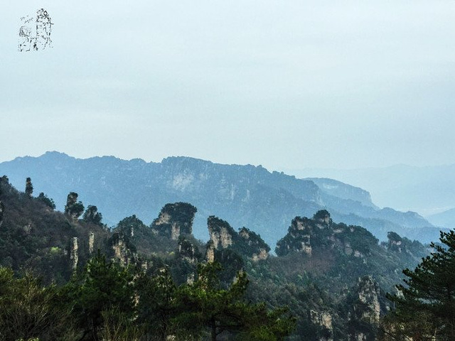 "天子山景区天子山是张家界最早开发出来的景点之一，天子山有着天下峰林“扩大的盆景，缩小的仙境”之称_张家界国家森林公园"的评论图片