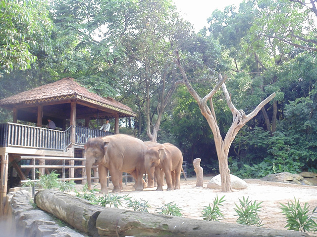 2017动物园不能带食物进去,所以傍边售票点有