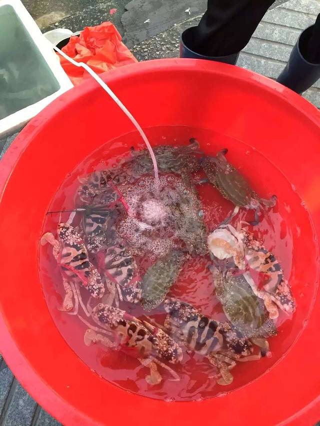 外伶仃岛--珠海小马代