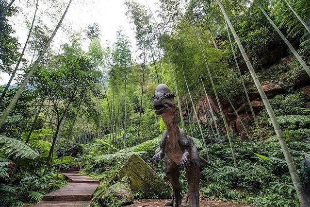 中国株椤纪公园