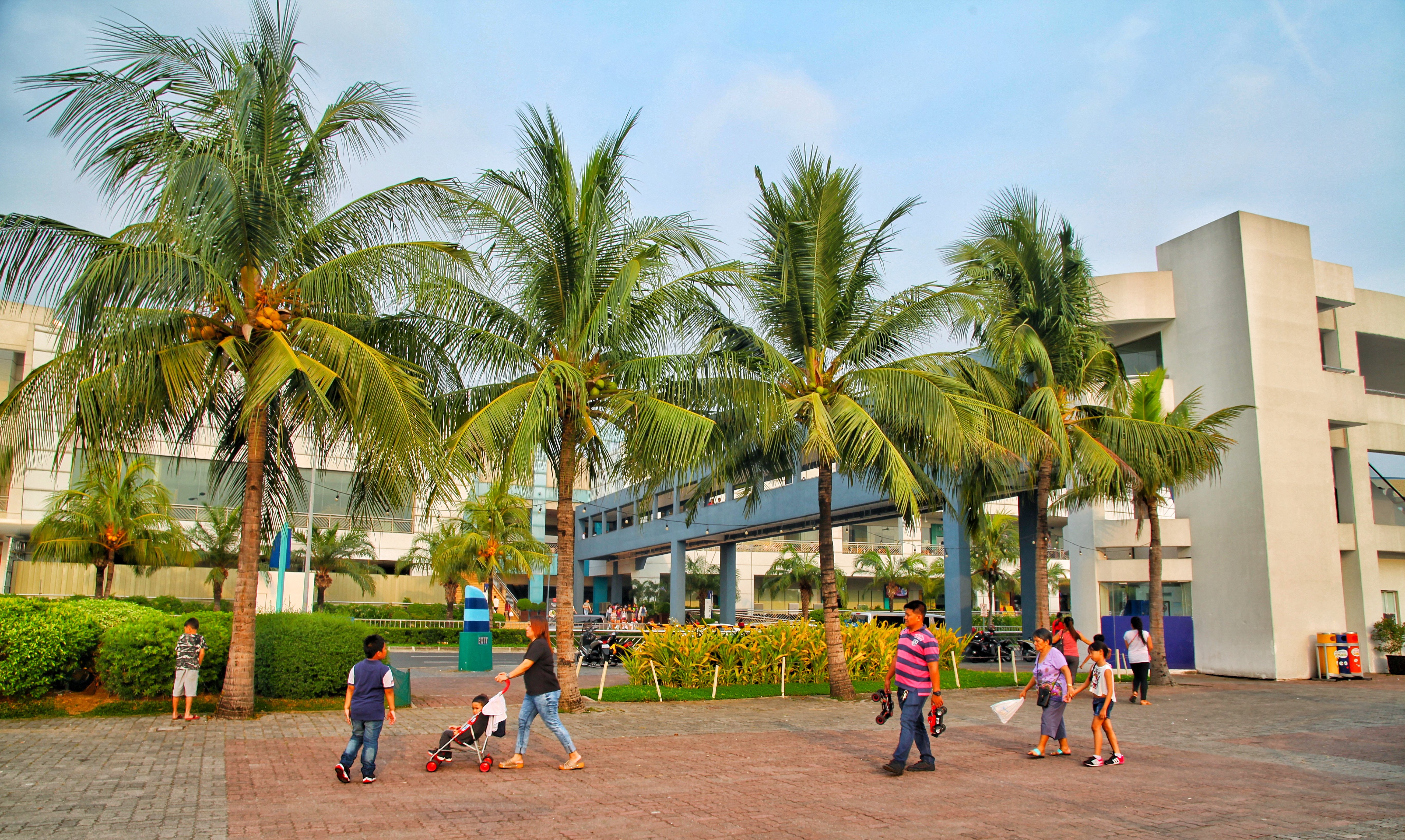 马尼拉湾在菲律宾吕宋岛西南,是南海东岸的重要天然港湾,为世界大港湾