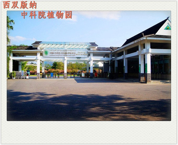 省时省力,为普通游客的经典推荐路线_中科院西双版纳热带植物园"的