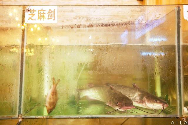 渔夫啤酒鱼十五年店