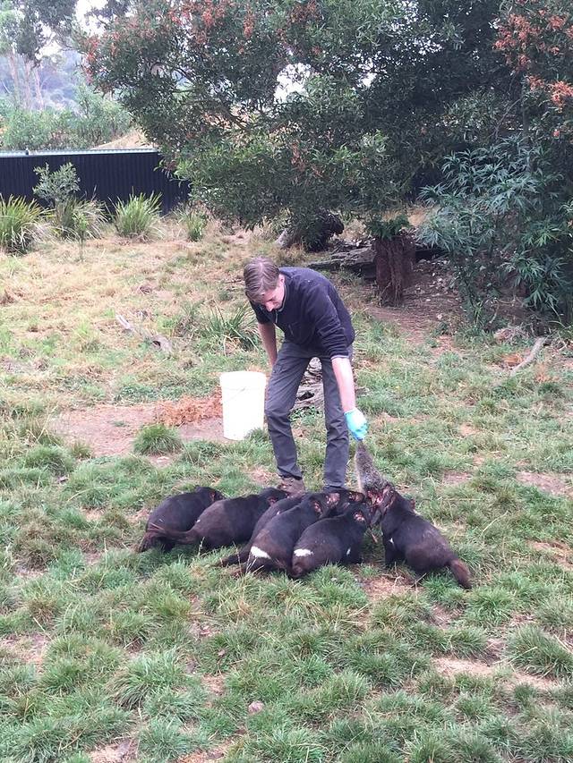 特罗瓦那野生动物园