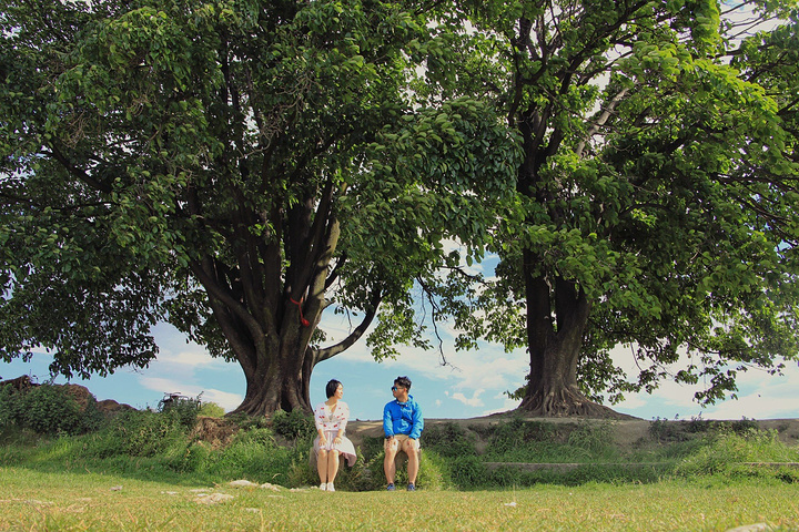 2018海舌生态公园走出来,停车场旁边当地人停马车,喂马那个小路中间就是。这次最爱场景,没有之一_夫妻树评论 - 去哪儿攻略社区