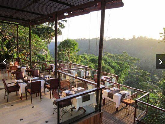 巴厘岛巴龙蝴蝶度假村(Kupu Kupu Barong Villas & Tree Spa by L’Occitane)图片