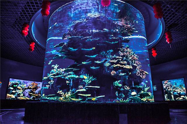 多彩贵州城极地海洋世界