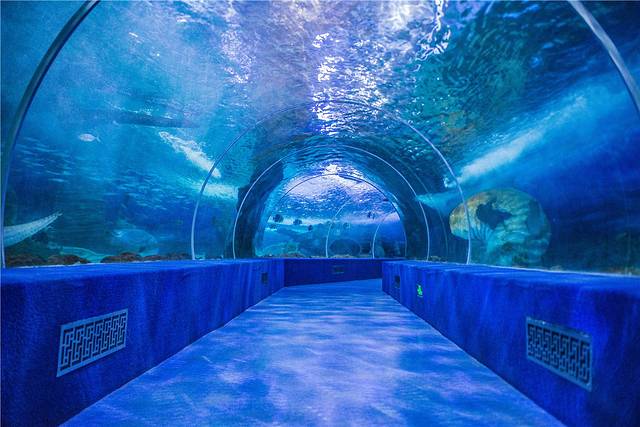 多彩贵州城极地海洋世界